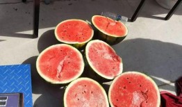 新瓜最新爆料广西,揭秘背后惊人真相！”